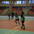 igdzuni 20